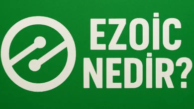 Ezoic Nedir