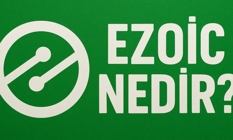 Ezoic Nedir