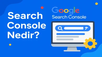 Search Console Nedir