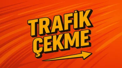 Web Site Trafik Çekme