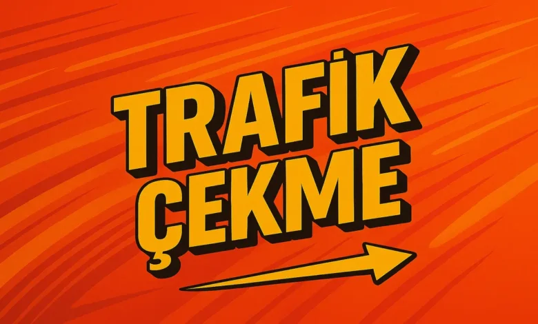 Web Site Trafik Çekme